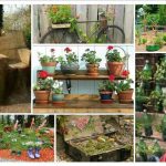 Garden Decor Ideas