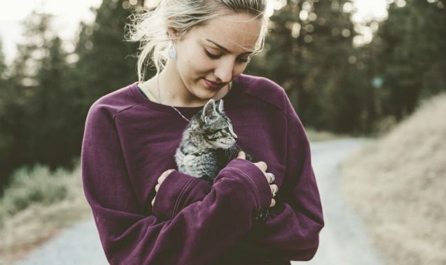 How to Take Care of Your Pets
