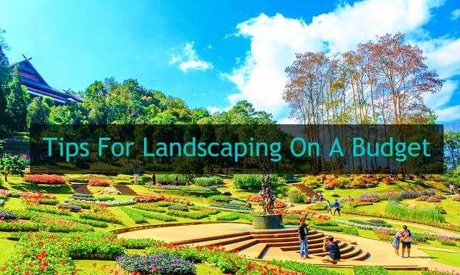 Tips For Landscaping On A Budget