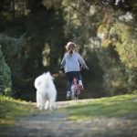 When’s the Best Time to Start Learning How to Ride a Bike (2)