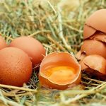 How Long do Fresh Eggs Last (1)