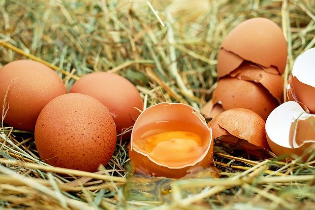 How Long do Fresh Eggs Last