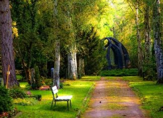 Professional Landscaping Ideas and Inspiration When Designing Larger Gardens
