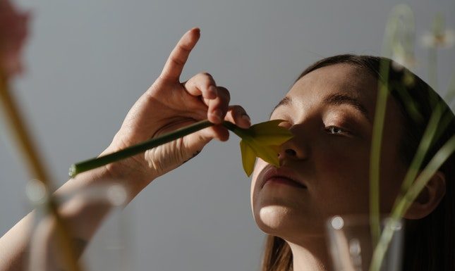 What Kind of Noses Do We Find Most Attractive?