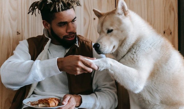 Unique Gift Ideas for Dog Lovers