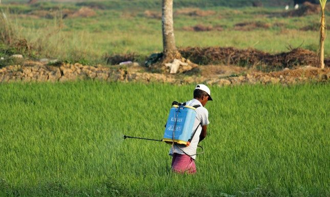 How To Tell If Your Property Is Pest-Infested?