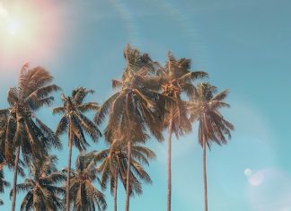 Simple Tips To Look Fashionable in Summer 2023
