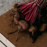 Beets During Pregnancy –  Protect Your Cells