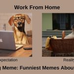 Crying Meme Funniest Memes About Work (1)