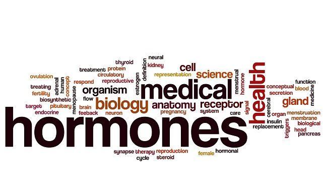 Hormone Therapy and Mental Health: Exploring the Impact on Women’s Well-Being