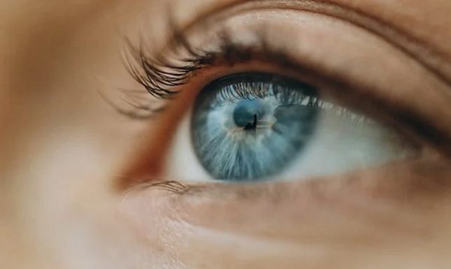 Lutemax: Nourishing Your Vision