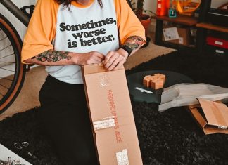 DIY vs. Professional Movers: Pros and Cons