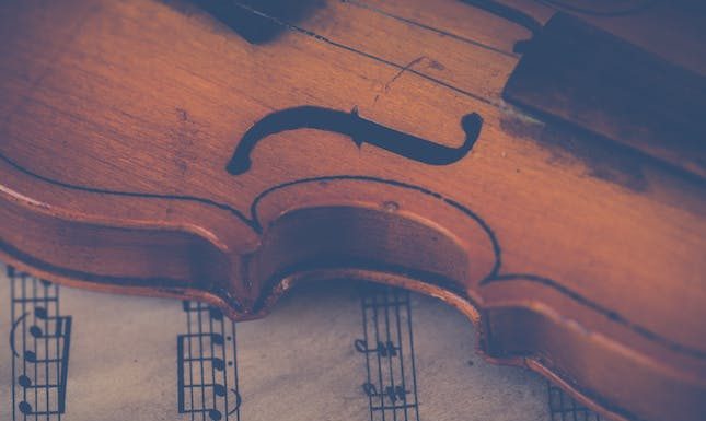 Explore Violin and Its Enchanting, Rich Sound!