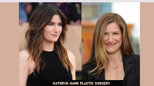 Kathryn Hahn Plastic Surgery Kathryn Hahn Plastic Surgery