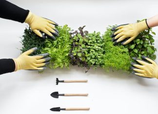 How To Start A Microgreens Business: Key Considerations