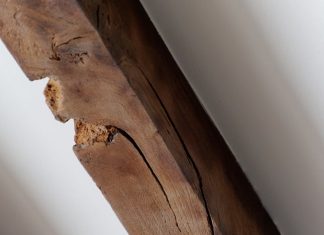 Selling a Termite-Infested Home: What to Do First