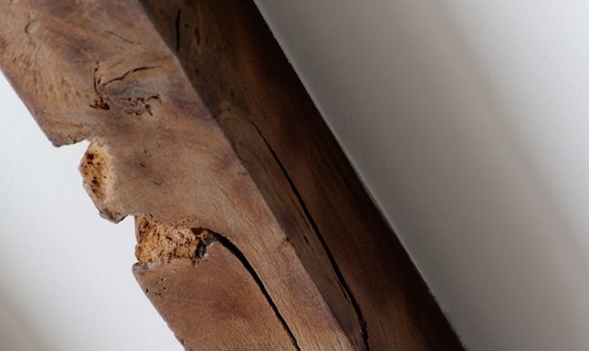 Selling a Termite-Infested Home: What to Do First