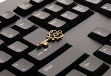 Introducing Falotani: A New Era of Innovation and Practicality Falotani