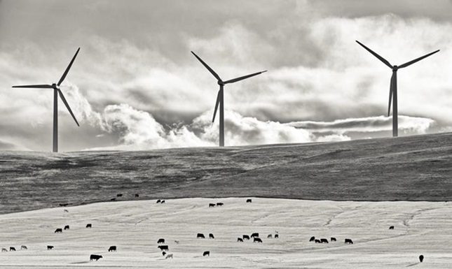 Debunking Myths About Solar Energy in Canada