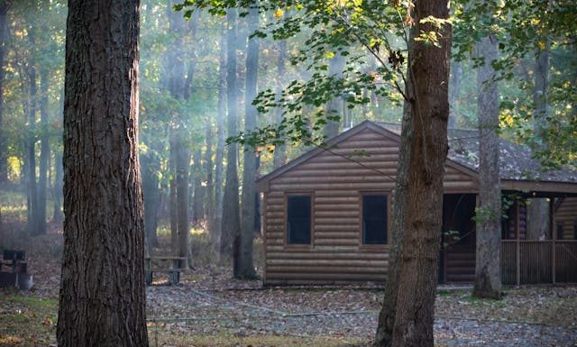Want a Cozy Home? Here’s How to Get That “Cabin in the Woods” Feel Anywhere!