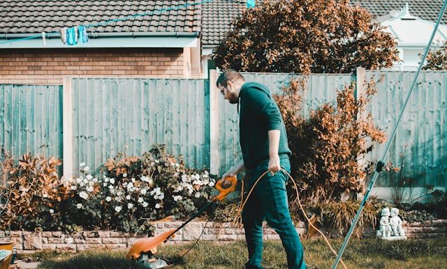 The Lazy Homeowner’s Guide to a Perfect Yard