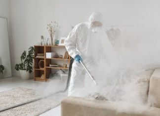 Not All Exterminators Are Equal: How to Choose the Right Pest Control Company