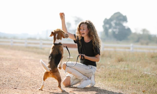 The Best Dog Trainers Near Granville OH
