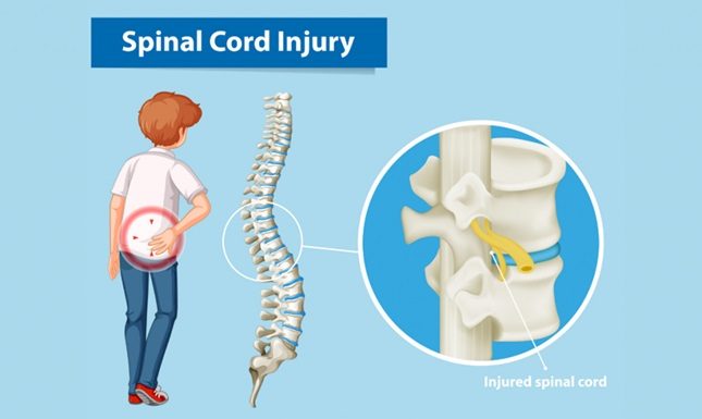 The Emotional Difficulties a Spinal Cord Injury Victim Has to Deal With