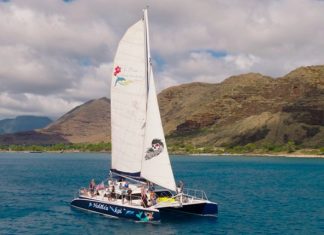 Safety First: What to Know Before Going on an Afternoon Catamaran Snorkeling
