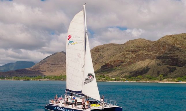 Safety First: What to Know Before Going on an Afternoon Catamaran Snorkeling