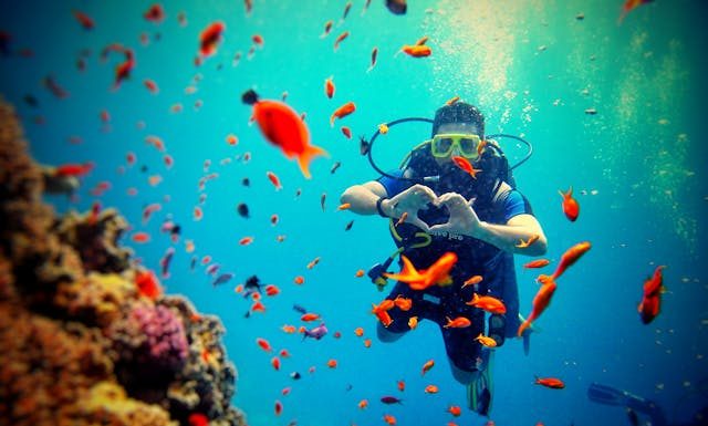 Why Kona Morning Dives are Best for Couples