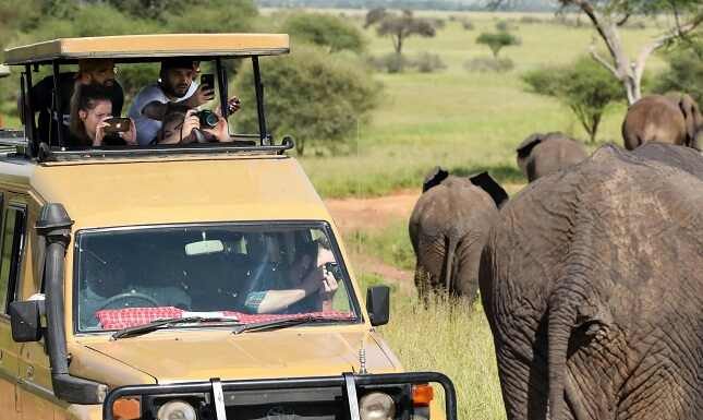 Best Time to Visit Tanzania for a Safari Adventure