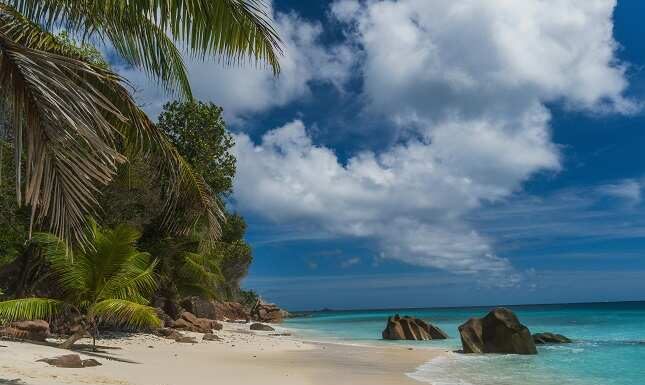 How Do You Experience Seychelles Beyond the Beaches?