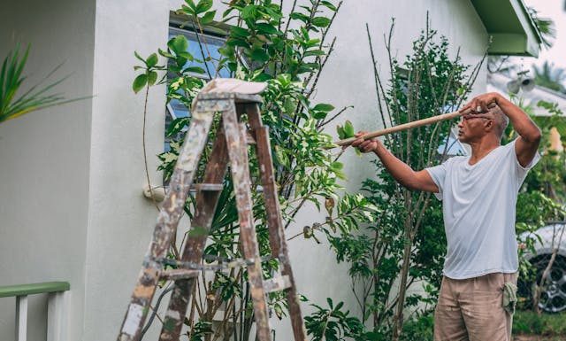 The Truth About Property Values and Home Maintenance