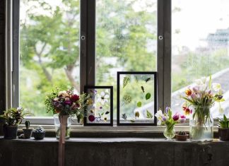 How New Windows Change the Feel of Your Home
