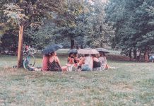 Outdoor Gatherings That Spark Joy and Connection