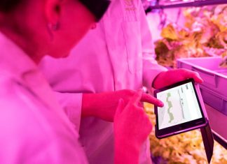 Rfonfyrf: Exploring a Mysterious Idea Shaping the Digital Age Rfonfyrf