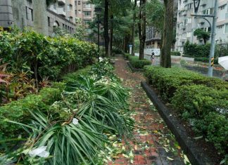 5 Things You Can Do to Prepare Your Household for Typhoon Season