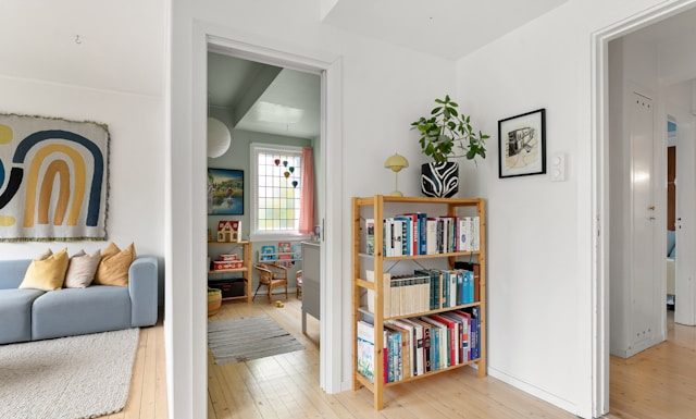 Simple Organization Habits That Keep Your Home Tidy Year-Round