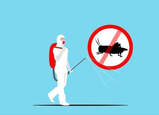 Wasps in the Attic, Raccoons in the Yard, Termites in the Walls — One Problem at a Time