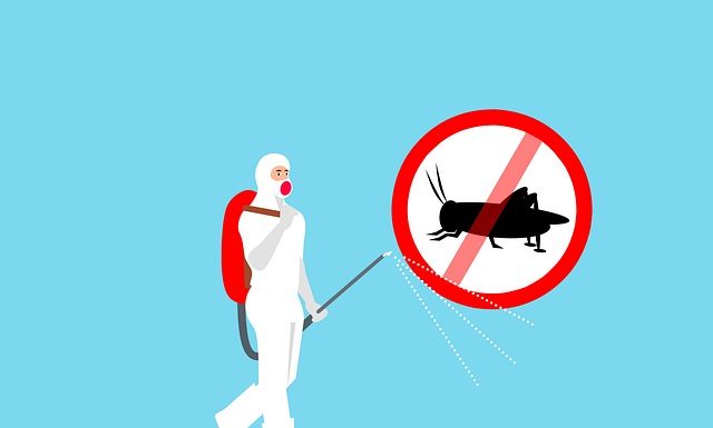 Wasps in the Attic, Raccoons in the Yard, Termites in the Walls — One Problem at a Time