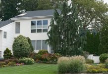 The Value of Strategic Exterior Upgrades