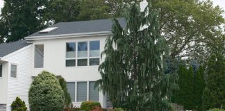 The Value of Strategic Exterior Upgrades