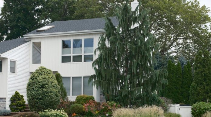 The Value of Strategic Exterior Upgrades