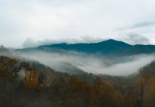 Chasing the Perfect View: The Most Beautiful Times to Visit the Smoky Mountains