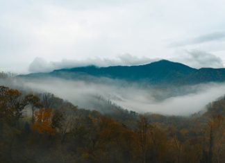 Chasing the Perfect View: The Most Beautiful Times to Visit the Smoky Mountains