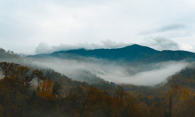Chasing the Perfect View: The Most Beautiful Times to Visit the Smoky Mountains