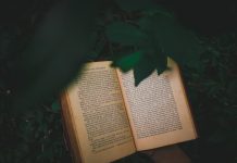 The Hidden Beauty of qihaofangdeliwu: Objects That Tell Stories qihaofangdeliwu