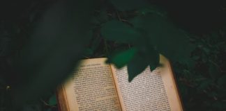 The Hidden Beauty of qihaofangdeliwu: Objects That Tell Stories qihaofangdeliwu