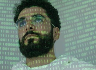 The Rise of rajafelba in the Digital World rajafelba